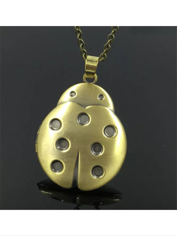 Ladybug diffuser necklace with chain