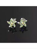 Star rhinestone post earrings